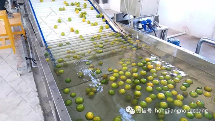 1595216962976055.jpg 微信圖片_20200720114817.jpg