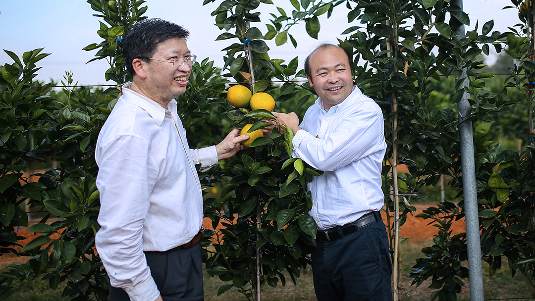 1595217851180368.jpg 微信圖片_20200720120332.jpg