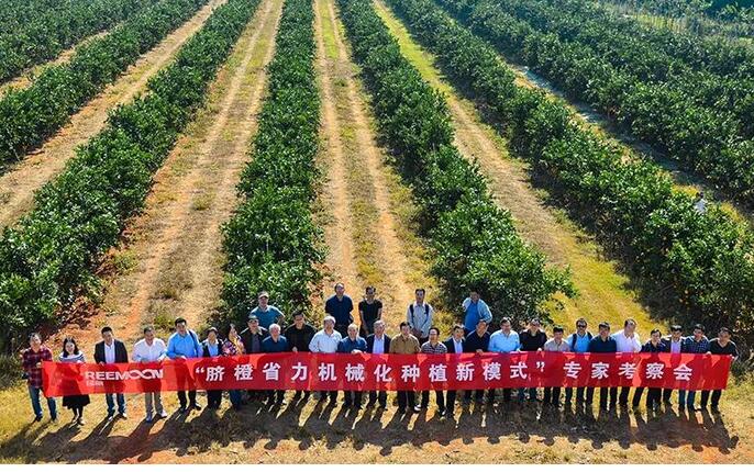 綠萌水果分選設備可進行重量大小分級、顏色、瑕疵外觀視覺分選，無損檢測糖度，甜度，酸度、空心、浮皮、褐變、果肉損傷等內部指標檢測，提供智能全自動臍橙分選機,臍橙分選設備,臍橙選果機,臍橙選果設備,臍橙分級機,臍橙稱重分揀機,臍橙大小直徑選果，臍橙采后分選方案和價格