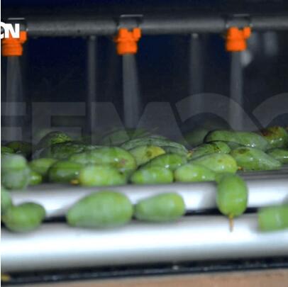 綠萌是芒果智能分選設(shè)備國家高新技術(shù)企業(yè),對芒果采后處理提供全套解決方案。綠萌芒果分選機可進行大小重量分級。提供全自動芒果分選設(shè)備,芒果選果機,智能芒果分選機,全自動芒果分選機,芒果分級機,小型芒果分選機，芒果稱重分選機,芒果重量分選機,芒果大小分選機,芒果顏色分選機,配套芒果清洗機、芒果洗果保鮮機、芒果包裝機。