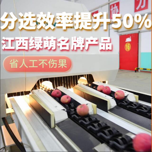 綠萌是水果智能分選設(shè)備國家高新技術(shù)企業(yè),對水果采后處理提供全套解決方案。綠萌水果分選機(jī)可進(jìn)行大小重量分級、外觀顏色分選、內(nèi)部品質(zhì)糖度檢測。提供全自動水果分選設(shè)備,水果選果機(jī),智能水果分選機(jī),全自動水果分選機(jī),水果分級機(jī),小型水果分選機(jī)，水果分級機(jī),水果稱重分選機(jī),水果重量分選機(jī),水果大小分選機(jī),水果顏色分選機(jī),水果糖度分選機(jī),配套水果清洗機(jī)、水果洗果保鮮機(jī)、水果包裝機(jī)、水果消毒滅菌殺菌機(jī),水果打蠟機(jī)。更多水果分選方案報價,小型水果選果設(shè)備價格、水果分級機(jī)怎么樣、口碑好質(zhì)量好的水果選果機(jī)、了解高性能水果分選機(jī)多少錢,咨詢客服免費(fèi)獲取