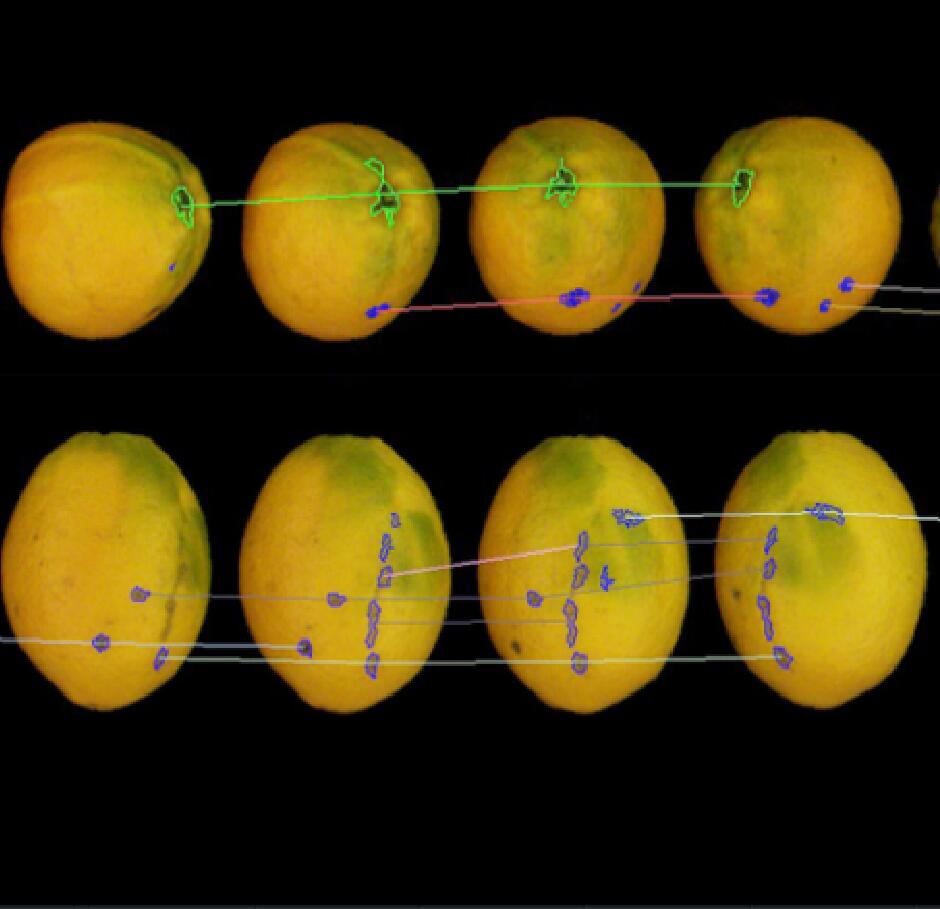綠萌是果蔬智能分選設(shè)備國家高新技術(shù)企業(yè),對果蔬采后處理提供全套解決方案。綠萌果蔬分選機(jī)可進(jìn)行大小重量分級、外觀顏色分選、內(nèi)部品質(zhì)糖度檢測。提供全自動果蔬分選設(shè)備,果蔬選果機(jī),智能果蔬分選機(jī),全自動果蔬分選機(jī),果蔬分級機(jī),小型果蔬分選機(jī)，果蔬分級機(jī),果蔬稱重分選機(jī),果蔬重量分選機(jī),果蔬大小分選機(jī),果蔬顏色分選機(jī),果蔬糖度分選機(jī),配套果蔬清洗機(jī)、果蔬洗果保鮮機(jī)、果蔬包裝機(jī)、果蔬消毒滅菌殺菌機(jī),果蔬打蠟機(jī)。更多果蔬分選方案報價,小型果蔬選果設(shè)備價格、果蔬分級機(jī)怎么樣、口碑好質(zhì)量好的果蔬選果機(jī)、了解高性能果蔬分選機(jī)多少錢,咨詢客服免費(fèi)獲取