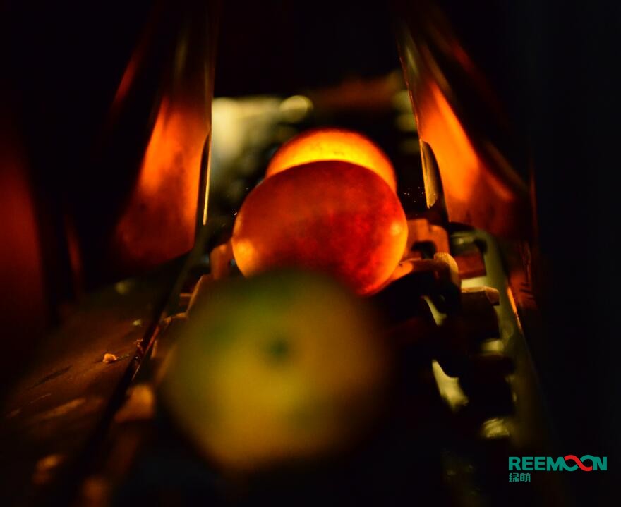 誰都希望自家的農(nóng)產(chǎn)品“嫁得好”、賣得俏，但農(nóng)產(chǎn)品只有把價格檔次拉開，才能達成這個目標。這里有一個前提條件：做好分級預(yù)處理。以前人們總想著，農(nóng)產(chǎn)品挑選分級以后，好的可以賣掉，差的可怎么辦？所以不喜歡分級。但隨著市場消費群體細分，對農(nóng)產(chǎn)品進行挑選分級，反而有更多優(yōu)勢。要說提升產(chǎn)地農(nóng)產(chǎn)品品牌價值，可能離普