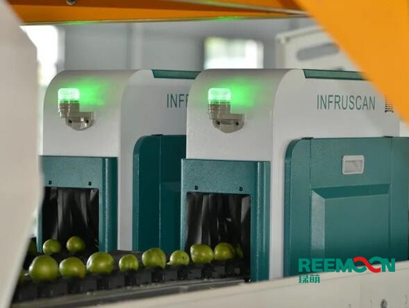 李子分選線綠萌李子分選線采用專業(yè)光譜儀對(duì)李子進(jìn)行多方位檢測(cè)，可對(duì)李子的外部顏色和內(nèi)部酸甜度進(jìn)行精準(zhǔn)分選，從而對(duì)李子外部、內(nèi)部做一個(gè)分級(jí)，確保品牌的穩(wěn)定性。重慶仙桃李種植歷史悠久，且政府為大力支持仙桃李的發(fā)展，不斷優(yōu)化仙桃李的種植技術(shù)，2020年烏牛村仙桃李預(yù)計(jì)產(chǎn)果35萬(wàn)余斤，好的李子需要好的銷售，其中采后