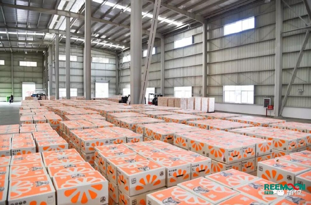 今日寒露，世間萬(wàn)物都回到了秋天的顏色?！昂丁睍r(shí)節(jié)起，雨水漸少，天氣干燥，晝熱夜涼。宜多吃橙子。告訴大家一個(gè)好消息，實(shí)建褚橙發(fā)貨啦！江西綠萌科技控股有限公司為褚橙品質(zhì)和效率保駕護(hù)航！ 從采摘到包裝發(fā)貨，一系列認(rèn)真對(duì)待實(shí)建褚橙的剪影，好果，都值得好好對(duì)待。 褚橙品質(zhì) 綠萌助力&nbsp