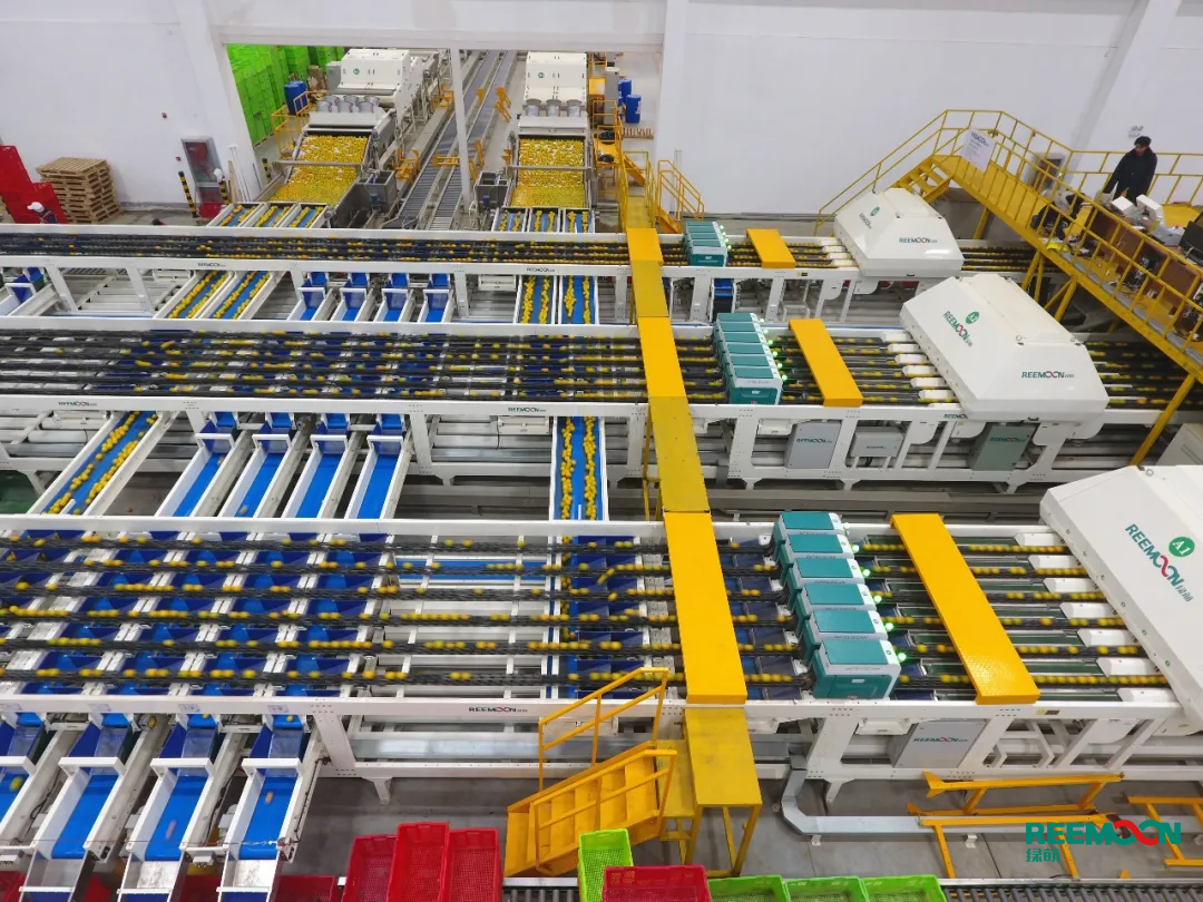 1602556961133558.png 2A6B47B4-4D9F-457a-9F3D-D45DF6D026EB.png