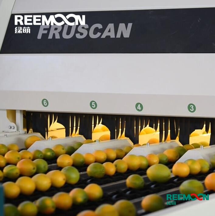 水果消費精品化-選果機設備要突破“單一化” 今年，“水果自由”這個話題經常很受歡迎。 水果價格高漲的船高的背后，除了受到天氣、產量、供求關系的影響外，市場上很多水果開始走上“精品化之路”是另一個原因。 這種現(xiàn)象其實受到市場需求的影響，現(xiàn)在消費者追求更好的消費體驗，精品水果的銷量持續(xù)上升，這也在挑戰(zhàn)水