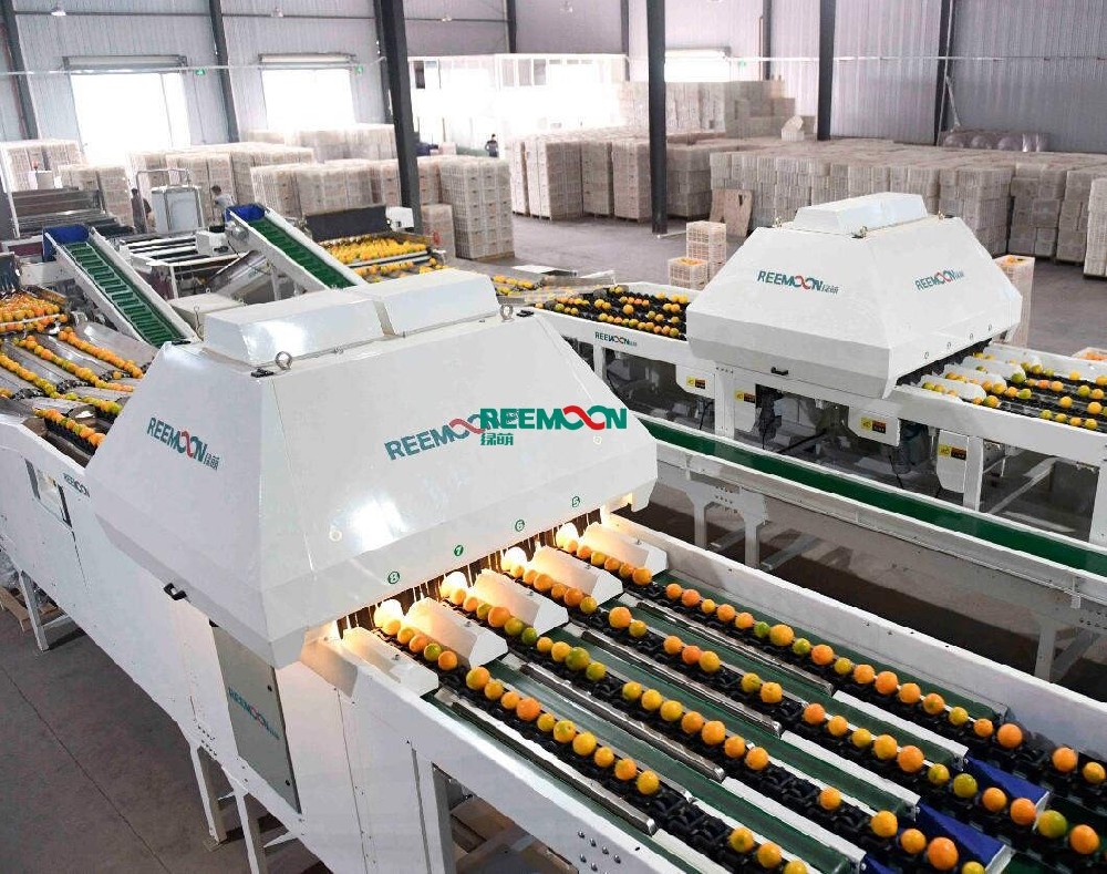 信豐首個博士后創(chuàng)新實踐基地落戶綠萌信豐首個博士后創(chuàng)新實踐基地落戶綠萌！綠萌的發(fā)展離不開中國共產(chǎn)黨和國家的關(guān)懷以及地方政府的支持，綠萌始終心懷感恩，努力發(fā)展自己、提高自己以回饋國家，回饋社會。公司從2011年起和華中農(nóng)業(yè)大學(xué)開展產(chǎn)學(xué)研合作，此后近10年一直和華中農(nóng)業(yè)大學(xué)保持深度地合作；2018年，正式引進鄧秀新