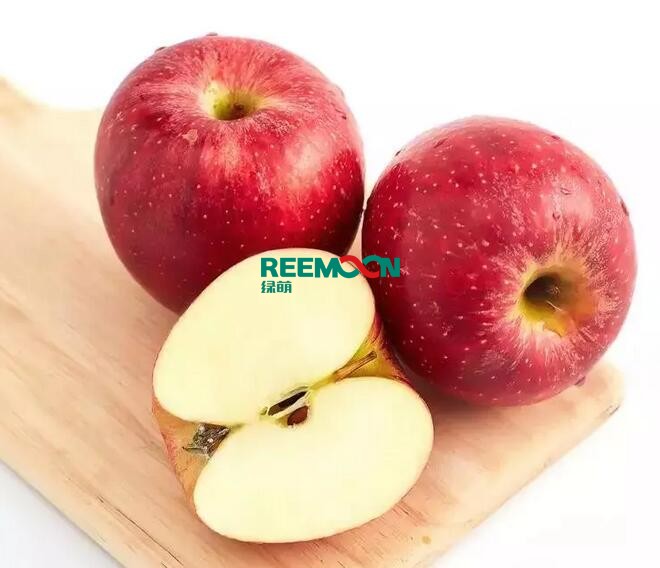 無論是數(shù)字農場還是基地采集，其根本方法和操作方式都是設定標準。為了保證一個臍橙從田間的樹梢到消費者的餐桌都處于高品質的狀態(tài)，阿里巴巴農業(yè)發(fā)展部制定了130項標準，涵蓋了果園的位置、果樹之間的距離、水果的甜度和形狀、水果的分級、運輸和包裝等。從現(xiàn)場到消費者的餐桌，每一個環(huán)節(jié)都有詳細的工藝標準，一個