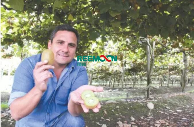 智利已經躍升為中國最大的水果來源國汽車行駛在智利的5號公路上，不時有卡車來來往往，載著葡萄干、獼猴桃等水果，其中大部分被送往中國。根據(jù)中國海關此前公布的數(shù)據(jù)，2016年智利向中國出口價值約12億美元的新鮮水果，比上年增長22%，取代泰國成為領先的新鮮水果進口來源。智利水果有什么特點？為什么能一舉超越泰國，