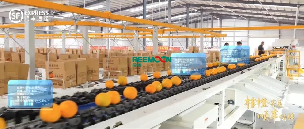 選擇順豐，享受它的“橙色”當(dāng)柑橘產(chǎn)量大增時(shí)，如何更好更快地向消費(fèi)者提供美味的水果，實(shí)現(xiàn)創(chuàng)收，已經(jīng)成為果農(nóng)和貿(mào)易商的主要關(guān)注點(diǎn)。順豐快遞以一貫的優(yōu)良品質(zhì)，全方位布局柑橘產(chǎn)業(yè)鏈的物流服務(wù)，將湖北、重慶、廣西、江西、湖南、四川等地的柑橘配送到全國(guó)市場(chǎng)，讓果農(nóng)和果商享受到自己的柑橘，不用擔(dān)心物流！全套