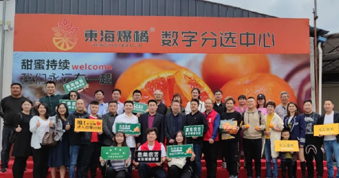 東海爆橘建立綠萌數(shù)字分選中心一陣果汁，細(xì)膩無渣，這橘子臉皮很薄，脾氣“爆”！每年秋冬季節(jié)，市場(chǎng)上各種各樣的橘子層出不窮，有些是黃澄澄的，有些是紅色的，讓人一看就喜歡，每年都買回來。貪心的時(shí)候找到一個(gè)，手里冰涼。我迫不及待地把它剝下來，迅速放進(jìn)嘴里。那一刻橙汁從我的喉嚨滑落，整個(gè)秋冬的干燥被