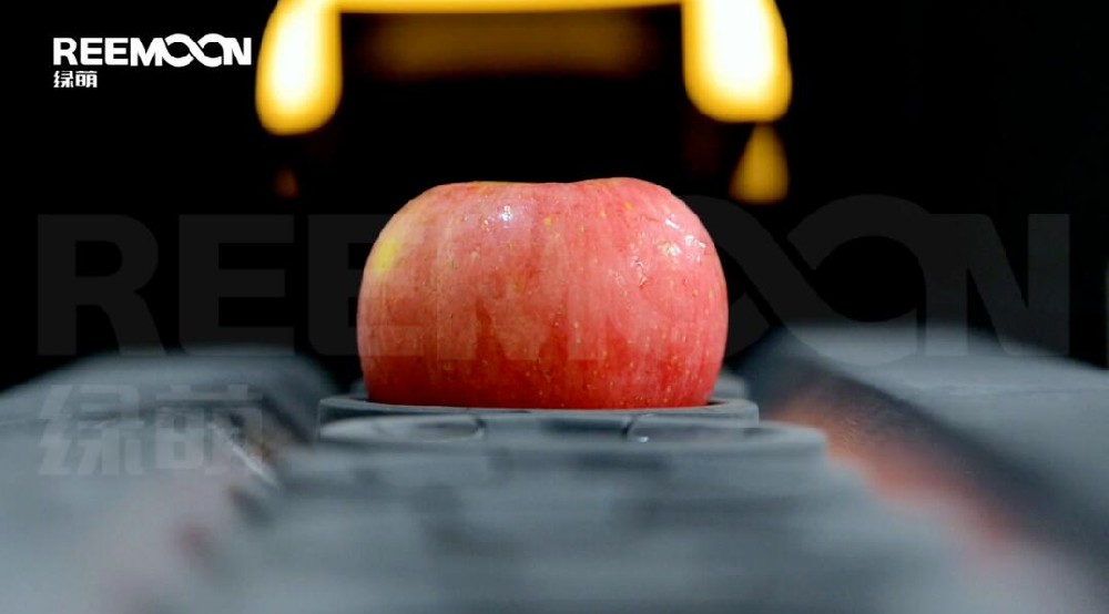 易磕碰水果分選：如何避免受傷 隨著果業(yè)的發(fā)展，果蔬分選設(shè)備隨之出現(xiàn)，從最初的重量分選，到現(xiàn)在的大小、色澤、瑕疵、糖度檢測(cè)分選，這些相對(duì)人工分揀的機(jī)械分揀，效率高、人力成本低、精確度高，逐漸搶占市場(chǎng)。水果經(jīng)過技術(shù)先進(jìn)的設(shè)備檢測(cè)后，根據(jù)大小、重量、色澤、糖度等指標(biāo)進(jìn)行分級(jí)，按水果品質(zhì)進(jìn)行區(qū)分銷售，實(shí)現(xiàn)整體