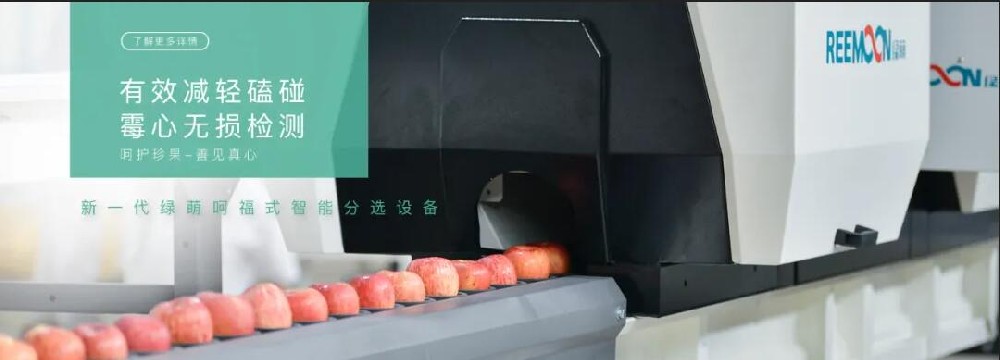 蘋果也有優(yōu)等生？多層選拔上“名?！?近年來，從最初的幾十噸，到今天的4000萬噸以上，我國(guó)蘋果總產(chǎn)量呈激增的態(tài)勢(shì)。蘋果優(yōu)良品種不斷更新，質(zhì)量持續(xù)改進(jìn)，深得消費(fèi)者青睞，如此看來，蘋果市場(chǎng)一片大好。 然而，隨著農(nóng)藥、肥料、紙袋、人工成本等價(jià)格上漲，蘋果的生產(chǎn)成本也在繼續(xù)上升，加之蘋果總量供大于求，蘋果的