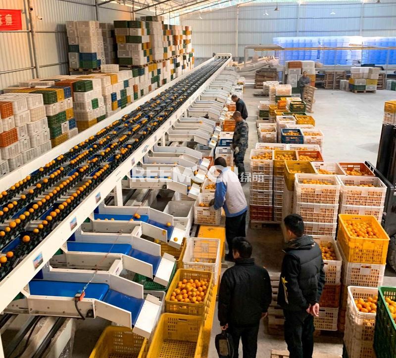 記者今天從韶關(guān)市仁化縣了解到，廣東省農(nóng)業(yè)農(nóng)村廳、海關(guān)總署廣東分署公布《關(guān)于公布2020年廣東省農(nóng)產(chǎn)品出口示范基地名單（第二批）的通知》，韶關(guān)金喆園生態(tài)農(nóng)業(yè)有限公司仁化縣水果種植基地、仁化縣橘頌生態(tài)農(nóng)業(yè)有限公司仁化縣柑橘種植基地入選為2020年廣東省農(nóng)產(chǎn)品出口示范基地，獲頒發(fā)“廣東省農(nóng)產(chǎn)品出口示范基地”牌匾，