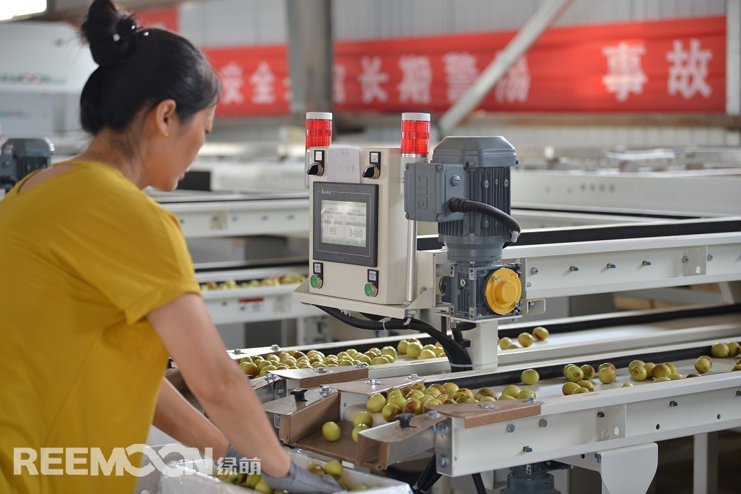 1619511196388133.jpg DSC_5583.JPG