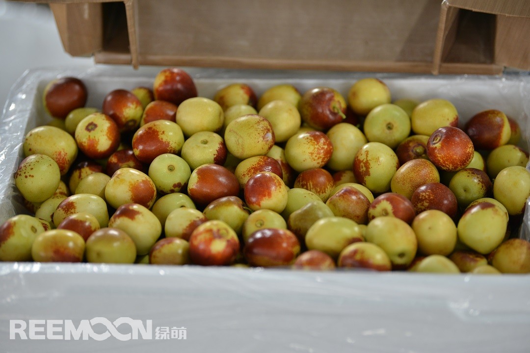 1619512022205056.jpg DSC_5748.JPG