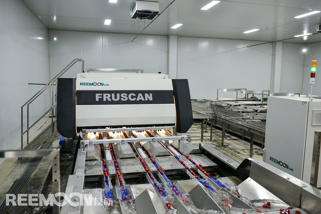 1619778520127793.jpg 視覺(jué)檢測(cè)1.jpg