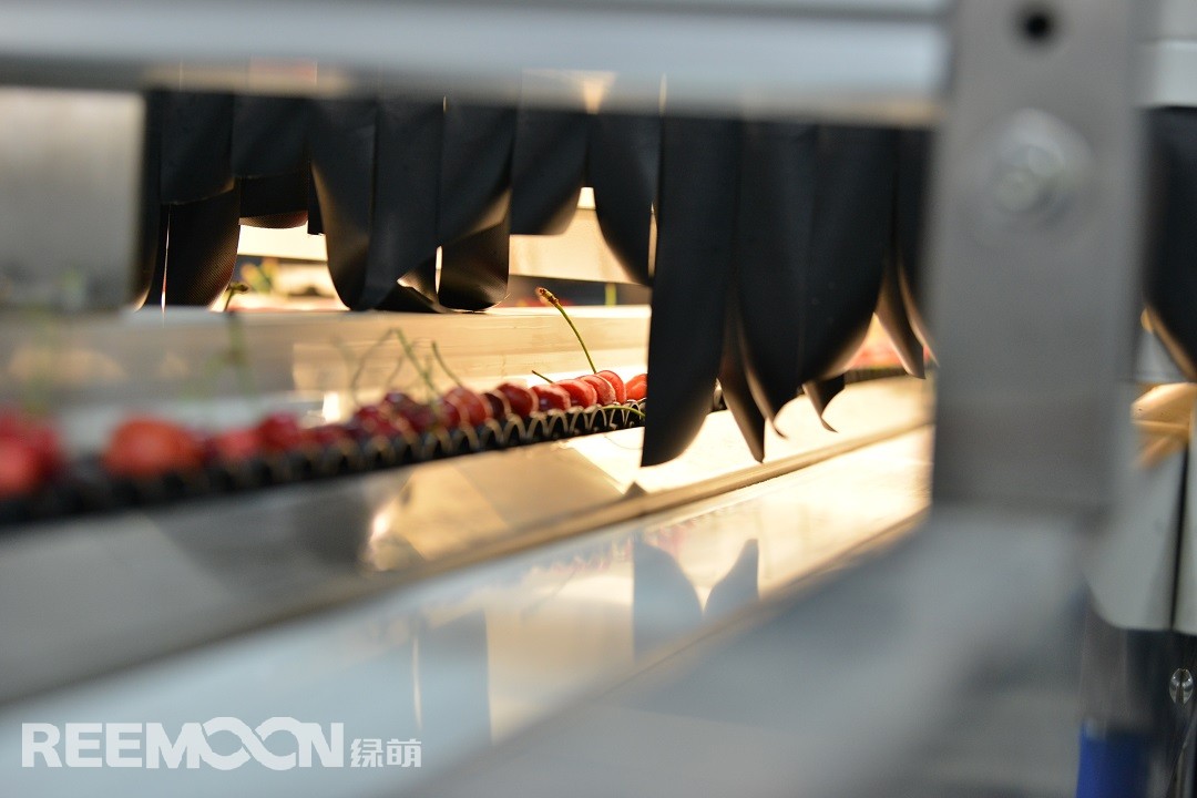 1619778539656825.jpg 視覺(jué)檢測(cè)2.JPG