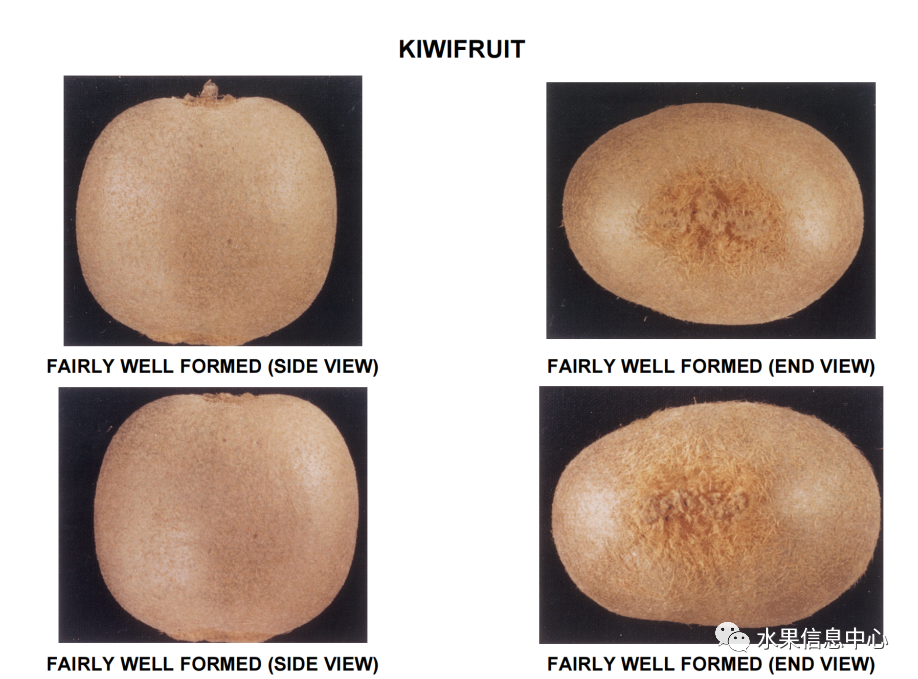 1620811758876852.png 官網(wǎng)1.png