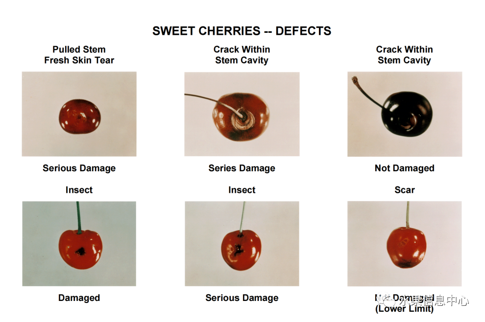 1620811835843839.png 官網(wǎng)2.png