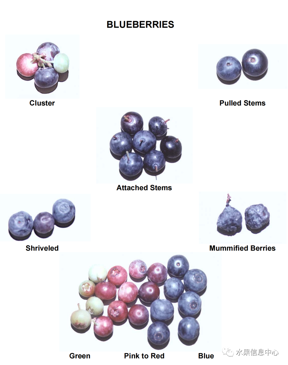 1620811864123329.png 官網(wǎng)3.png