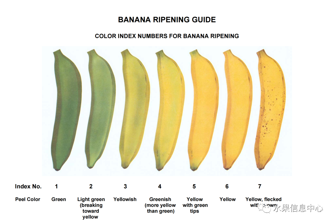 1620811906199247.png 官網(wǎng)4.png