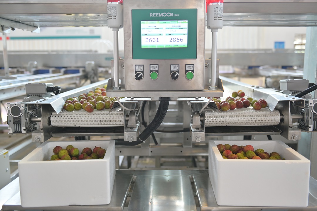 1621854631215999.jpg 出口包裝.JPG