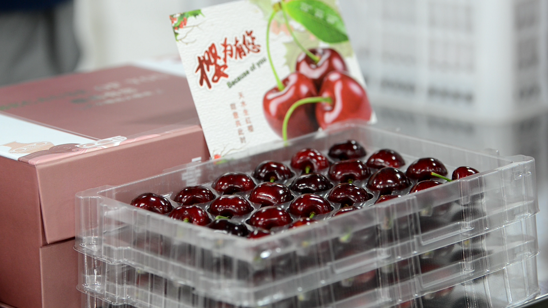 1622120295131304.png 櫻桃標(biāo)準(zhǔn)化包裝3.png