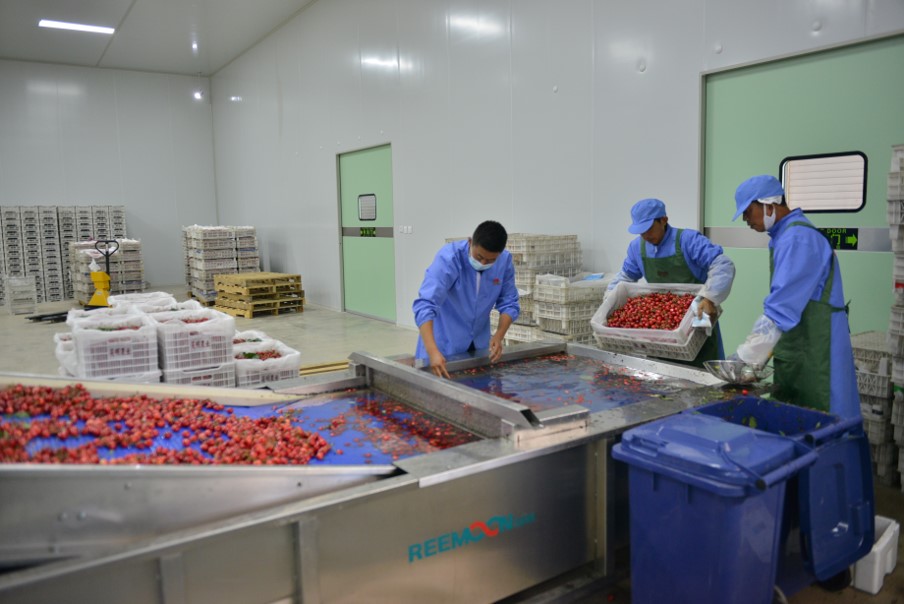 1622120319297899.jpg 水池入料.jpg