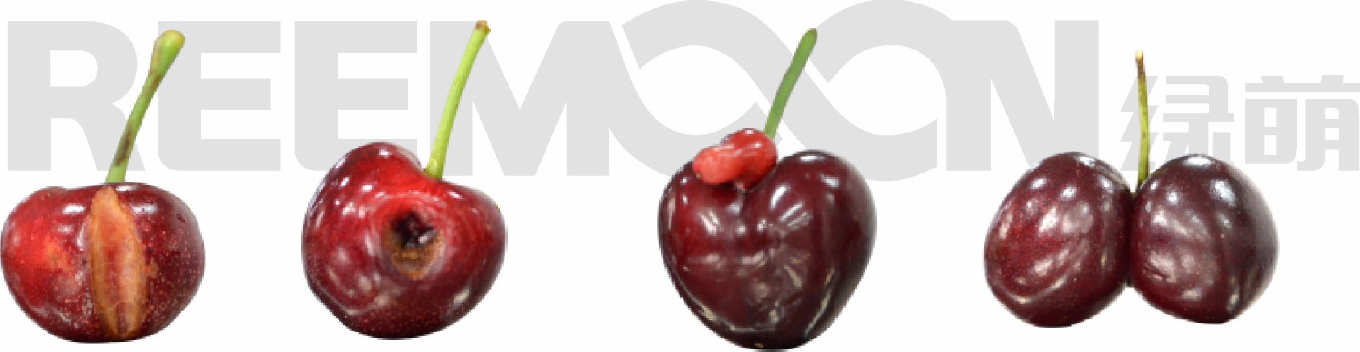 1622120451467180.jpg 櫻桃瑕疵加水印.jpg