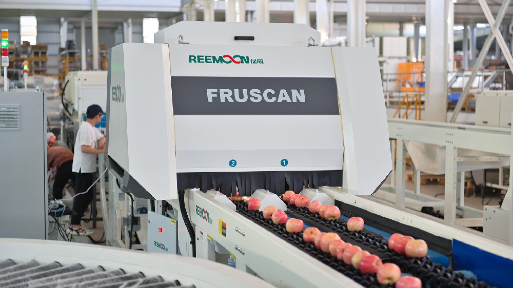 青怡蘋(píng)果從創(chuàng)立初，致力于高端品牌營(yíng)運(yùn)，重視品控。是OLE、BLT、麥德龍、步步高、天天果園等商超的戰(zhàn)略合作伙伴。據(jù)統(tǒng)計(jì)，蘋(píng)果庫(kù)存偏高，價(jià)格走勢(shì)持續(xù)走低，無(wú)論蘋(píng)果市場(chǎng)如何動(dòng)蕩，青怡蘋(píng)果的銷(xiāo)售從未有過(guò)絲毫的遲緩，甚至品牌聲望還在逐年累積。青怡蘋(píng)果能抓住優(yōu)質(zhì)市場(chǎng)紅利，在蘋(píng)果行情起伏的市場(chǎng)行情下，是什么支