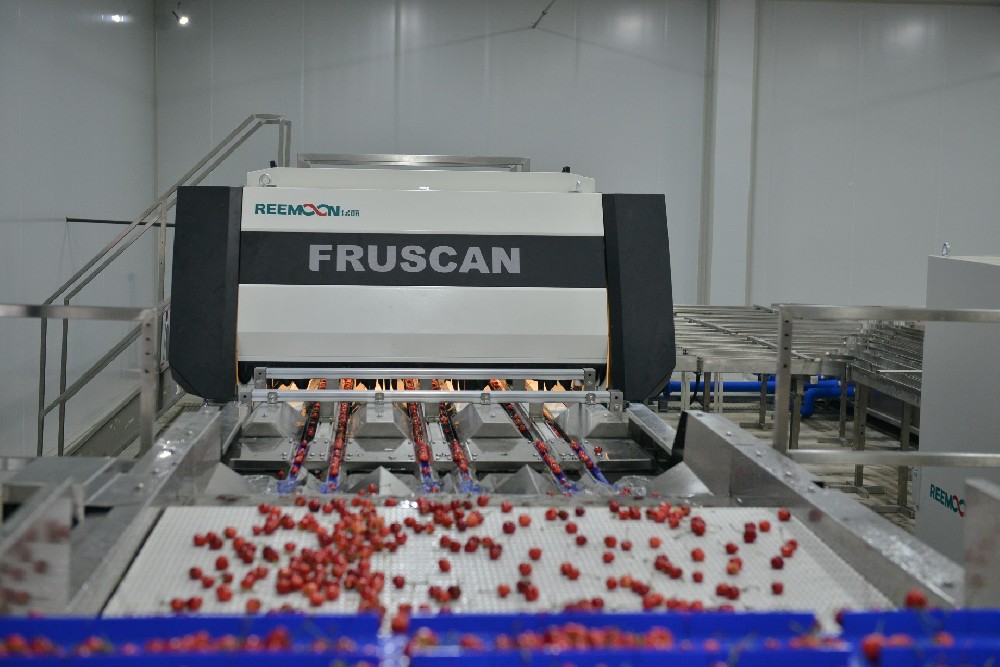 6月7日，金禾天潤農(nóng)業(yè)科技集團(tuán)(以下簡稱：金禾天潤)大櫻桃數(shù)字分揀中心正式運(yùn)營，金禾天潤大櫻桃全自動化分選系統(tǒng)上線啟用。 據(jù)介紹，這套大櫻桃全自動化分選系統(tǒng)是目前國內(nèi)最大規(guī)模的全自動化櫻桃分選系統(tǒng)。整套分選系統(tǒng)分為上料清洗、光學(xué)檢測系統(tǒng)分選區(qū)、吹氣式卸果、輸出通道、包裝溯源等五個部分。每小