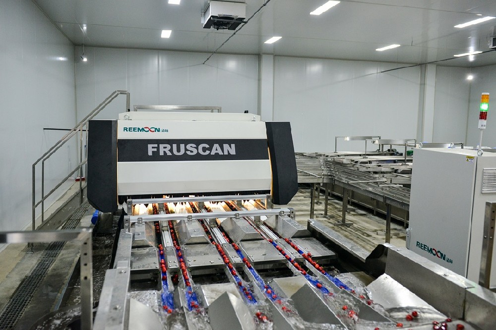 2021世界水果產業(yè)博覽會暨世界水果產業(yè)大會（FRUIT EXPO 2021）將于9月24-26日在廣州·廣交會展館隆重召開，與廣大業(yè)界同仁一起洞悉行業(yè)新風向，探索產業(yè)發(fā)展新模式，幫助參展企業(yè)增強品牌影響力，挖掘新市場、新商機，共同打造一場精彩紛呈的果業(yè)盛筵。長期以來，F(xiàn)RUIT EXPO組委會一直致力于為大家?guī)韺I(yè)、高端、國際化的