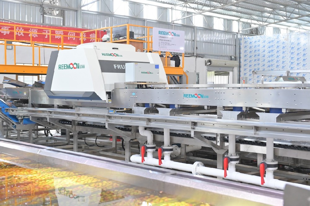 荔枝產(chǎn)業(yè)是廣東農(nóng)業(yè)的傳統(tǒng)優(yōu)勢產(chǎn)業(yè)，種植面積全國第一，穩(wěn)定在410萬畝，帶動從業(yè)人員超過180萬人，已成為富民興村的重要“利器”。圖來源于網(wǎng)絡廣東荔枝能夠獲得國內(nèi)外消費者的喜愛，除了自身的甜美味道之外，還與廣東省各級政府的有力開拓、大力支持、堅強領導密不可分。近年來，為不斷增強廣東荔枝市場的拓展能力