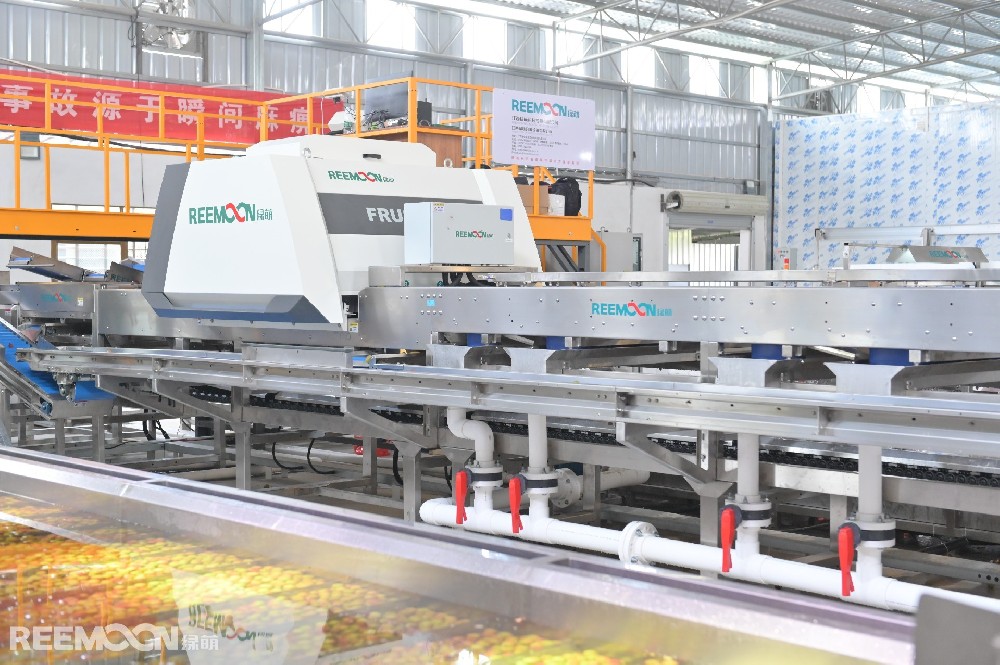 【央視報(bào)道】加快農(nóng)業(yè)現(xiàn)代化步伐以農(nóng)民增收為目標(biāo)穩(wěn)抓品牌強(qiáng)農(nóng)推動農(nóng)業(yè)高質(zhì)量發(fā)展綠萌荔枝分選技術(shù)，用科技助力廣東農(nóng)業(yè)現(xiàn)代化高質(zhì)量發(fā)展，先進(jìn)荔枝視覺檢測技術(shù)，為廣東荔枝做好品控，通過品牌強(qiáng)農(nóng)、科技興農(nóng)，使果農(nóng)享受科技之惠。