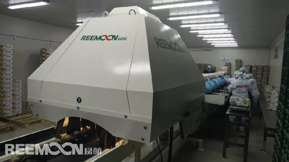 近日，江西綠萌科技控股有限公司在哥倫比亞的第一條自動分選線正式投入運營。綠萌南美區(qū)張經(jīng)理接受了全球果蔬網(wǎng)的采訪。張經(jīng)理首先對這條分選線做了介紹?！斑@是一條單通道、高性能的分選設備?？梢詫崿F(xiàn)對百香果及牛油果的分選。分選線具有重量分級、大小分級、形狀分級、顏色分級四種功能。根據(jù)客戶需求，各功能可以單獨使