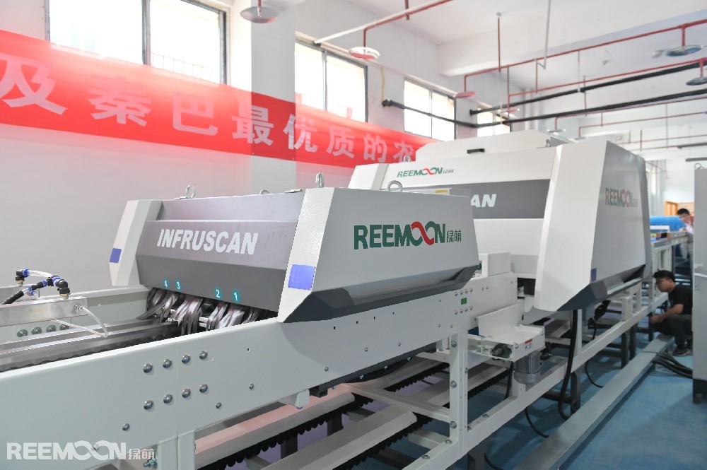 巫山脆李是政府的扶貧項目，巫山縣將“巫山脆李”定位為優(yōu)化農(nóng)業(yè)結(jié)構(gòu)、提升農(nóng)業(yè)效益、促進貧困戶脫貧致富的山地特色主導(dǎo)產(chǎn)業(yè)之一，進行重點打造，采取了一系列措施，如規(guī)?；N植、品種研發(fā)、引進精深加工等。據(jù)巫山網(wǎng)報道，截止去年，巫山縣脆李種植28萬畝，種植戶達5萬余戶，其中貧困戶9108戶。巫山脆李品牌價值達19.18億