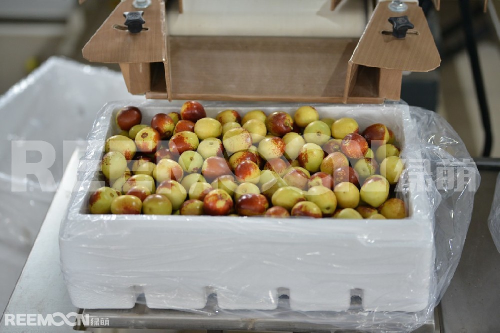 科技創(chuàng)新帶來了農(nóng)業(yè)發(fā)展的新時代，科技成為農(nóng)業(yè)振興的翅膀，使農(nóng)業(yè)結(jié)構(gòu)優(yōu)化，效益提升，農(nóng)民的致富路也變得一路順暢。大荔縣將冬棗作為強農(nóng)富民的支柱產(chǎn)業(yè)大力培育和發(fā)展，全縣冬棗栽植面積和產(chǎn)業(yè)規(guī)模與效益逐年擴大，發(fā)展勢頭良好。截止去年，大荔縣冬棗種植面積達42萬畝，2019年產(chǎn)量突破50萬噸，產(chǎn)值50億元，品牌價