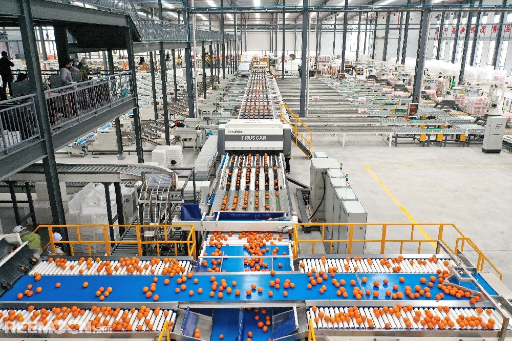 水果從生產(chǎn)到銷售，需經(jīng)歷品種選擇、果園管理、商品化處理、運輸和銷售等多個環(huán)節(jié)，整個鏈條的每一個環(huán)節(jié)都伴隨著相應(yīng)的標(biāo)準(zhǔn)，但從目前的產(chǎn)業(yè)現(xiàn)狀來看，在國內(nèi)還鮮有能做到整個產(chǎn)業(yè)鏈標(biāo)準(zhǔn)化的品牌，這也嚴(yán)重制約了我國水果的品牌化進程。 在商品化處理的環(huán)節(jié)，采后分選無疑占有非常重要的地位，通過采后分選設(shè)備可以實現(xiàn)水果