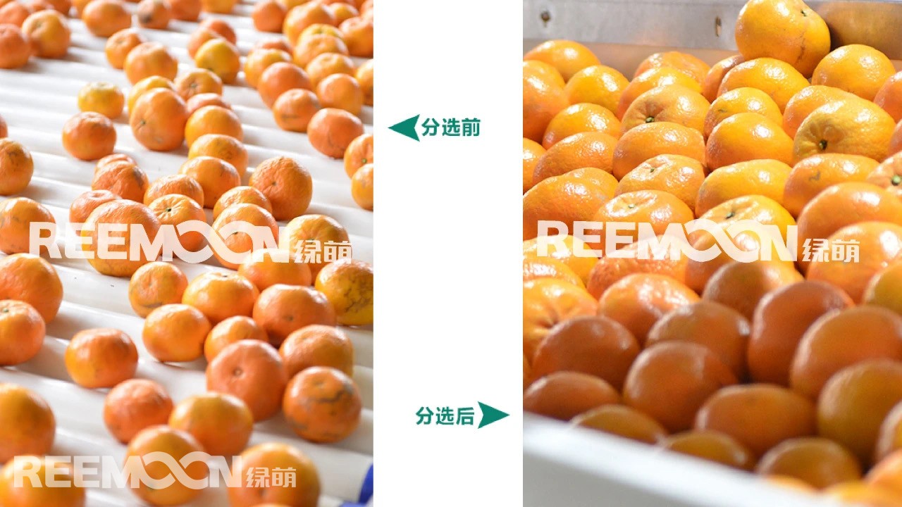 1627990706192380.jpg IMG_5486.JPG