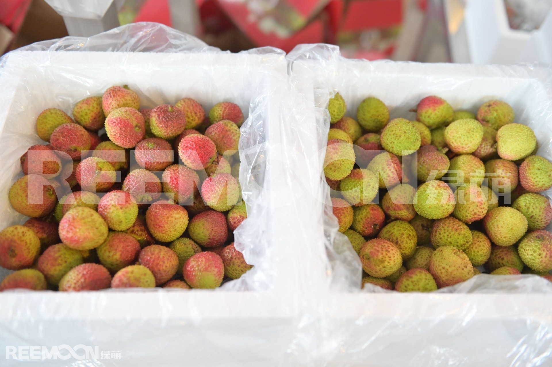 1627990835225654.jpg 荔枝對(duì)比加水印.jpg