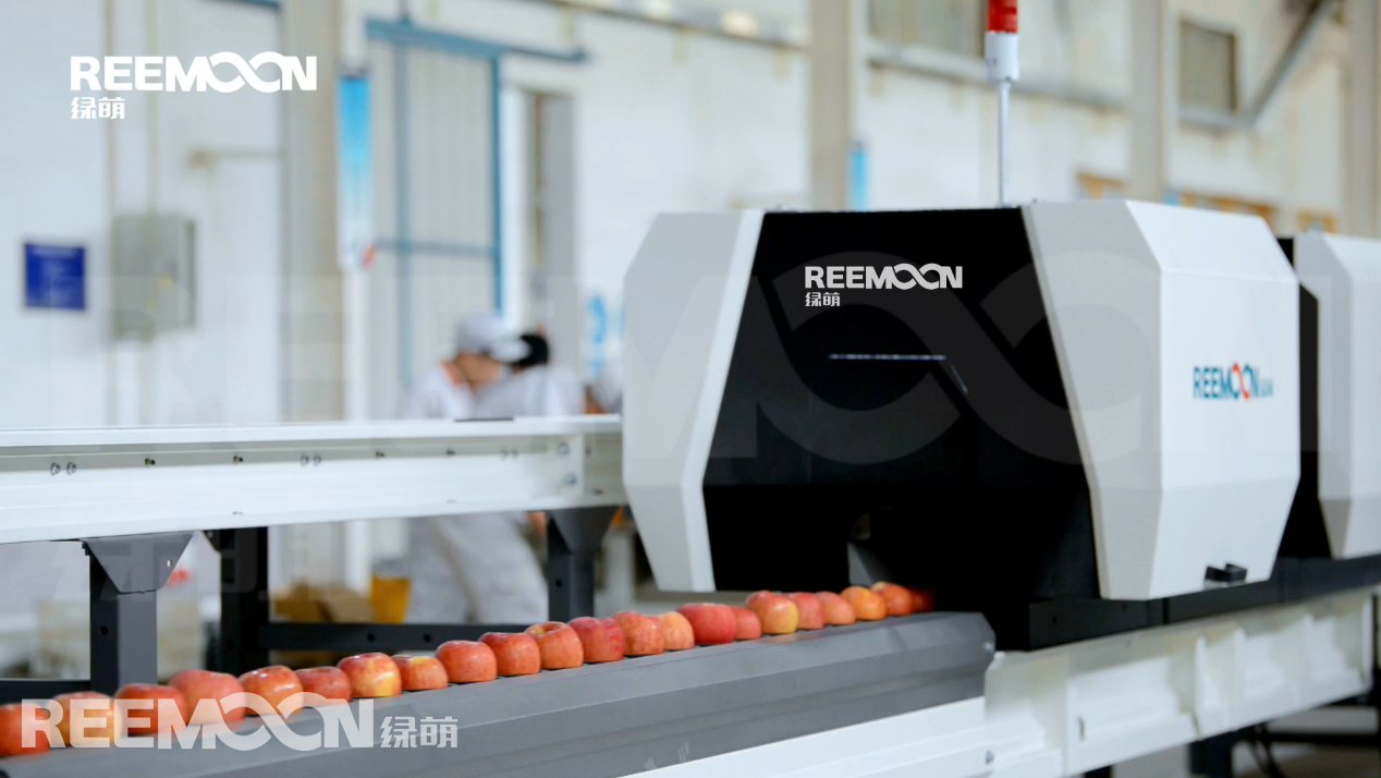 1631088163162371.png 滾筒上料機(jī).png