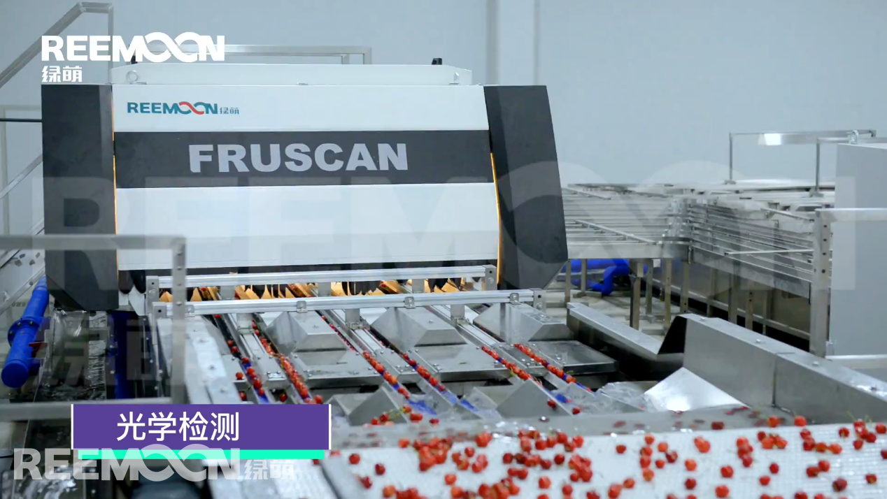 1631088217209783.png 光學(xué)檢測系統(tǒng).png