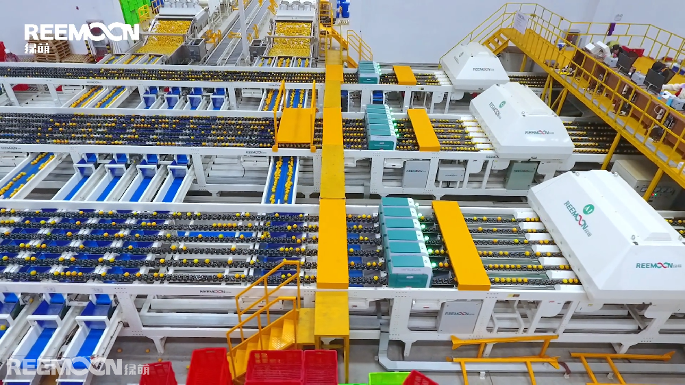 水果連鎖巨頭百果園早在2015年，就建成了國(guó)內(nèi)首個(gè)果品分級(jí)標(biāo)準(zhǔn)體系，目前已與全球200多個(gè)水果特約基地建立密切合作，以百果園的標(biāo)準(zhǔn)進(jìn)行生產(chǎn)。據(jù)稱(chēng)阿里數(shù)字農(nóng)業(yè)云南產(chǎn)地倉(cāng)，也實(shí)現(xiàn)了18種水果品質(zhì)分級(jí)。行業(yè)名企牽頭制定果品品質(zhì)分級(jí)標(biāo)準(zhǔn)，到底有何好處？阿里在產(chǎn)地建設(shè)集運(yùn)加工中心，簡(jiǎn)稱(chēng)產(chǎn)地倉(cāng)。云南倉(cāng)作為阿里巴巴數(shù)字農(nóng)業(yè)