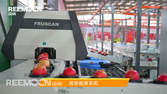 千年古城，榴在會理。會理縣日照充足，境內(nèi)多海拔1300米至1700米的臺地，是中國最適宜種植石榴的地區(qū)之一，石榴種植面積達(dá)40萬畝。2007年，會理石榴獲地理標(biāo)志產(chǎn)品保護，為當(dāng)?shù)厥癞a(chǎn)業(yè)的發(fā)展翻開了新篇章。據(jù)了解，會理縣對會理石榴的開園上市時間、會理軟籽石榴等級規(guī)格，即果實重量、果形、整治度、外觀色澤、果粒