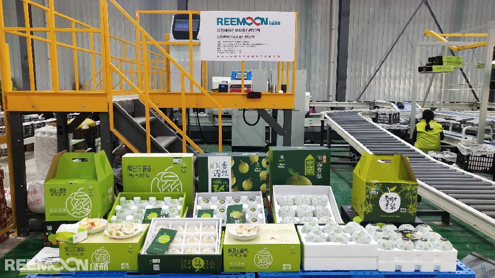 金風(fēng)玉露一相逢，便勝卻人間無(wú)數(shù)。在北緯36度西北黃土高原優(yōu)勢(shì)水果產(chǎn)業(yè)區(qū)的核心地帶——山西省隰縣，金燦燦的梨掛滿(mǎn)枝頭，個(gè)個(gè)飽滿(mǎn)圓潤(rùn)、果香誘人。隰縣利用得天獨(dú)厚的氣候、土壤優(yōu)勢(shì)，將梨果產(chǎn)業(yè)作為全縣的主導(dǎo)產(chǎn)業(yè)來(lái)抓。目前，全縣梨果總面積發(fā)展到38萬(wàn)畝，其中玉露香梨面積由2015年的16萬(wàn)畝發(fā)展到2020年的23萬(wàn)畝，規(guī)模和