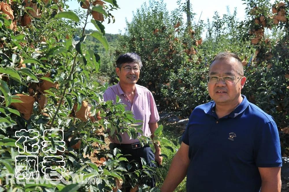 阮樹(shù)興（左）和王炳海在果園交流.jpg