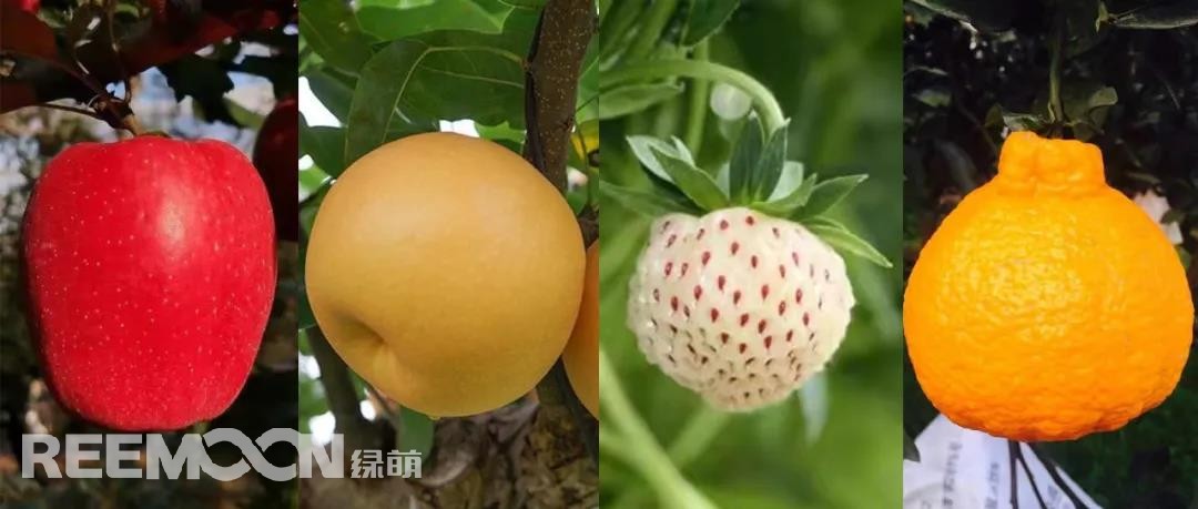 1639098751696217.jpg 5.jpg