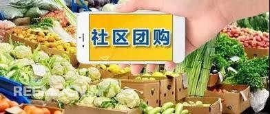 1639098836169515.jpg 8.jpg